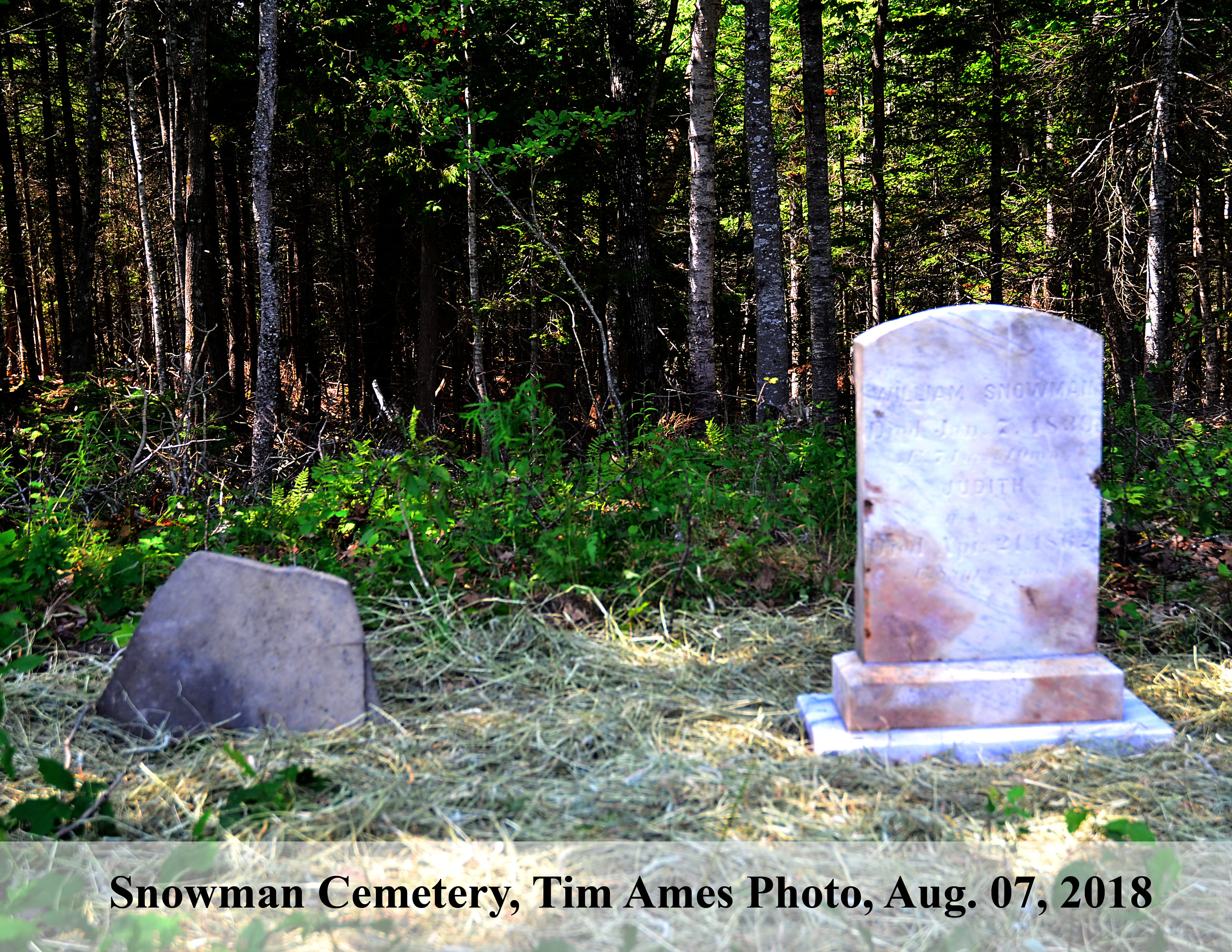 Site of Snowman Cemetery